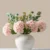 Pink Hydrangea