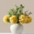 Yellow Hydrangea