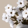 Moutan Peony Bunch — White (8 Stems)