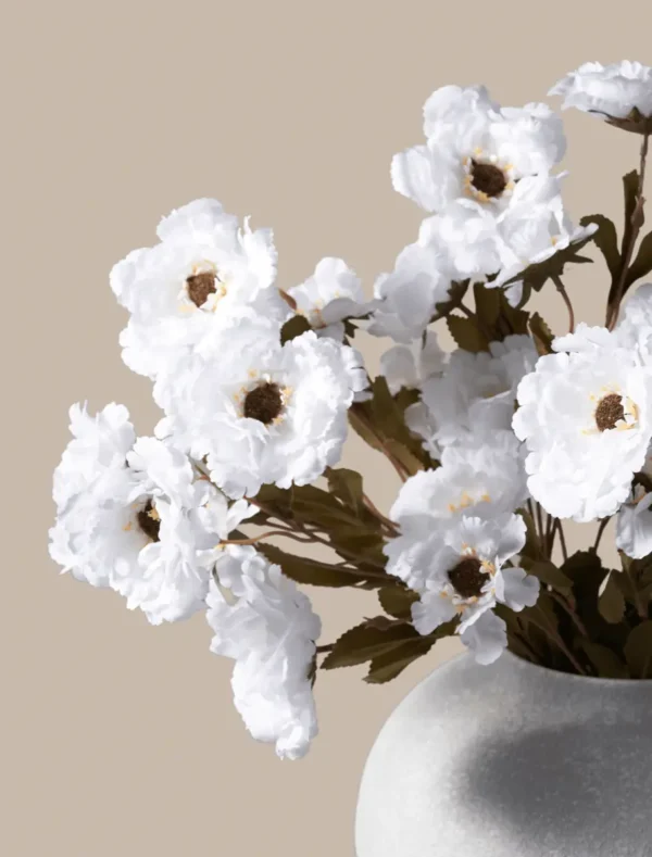 Moutan Peony Bunch — White (8 Stems)
