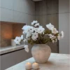Moutan Peony Bunch — White (8 Stems)
