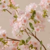 Japanese Cherry Blossom Faux Branches — Blush